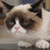 :grumpycat9: